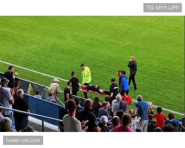 队医入场规则有哪些限制，裁判如何判罚才能保障比赛公平？